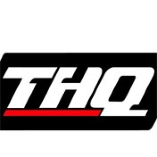 THQ Wireless 公布第二季度营收 510 万美元